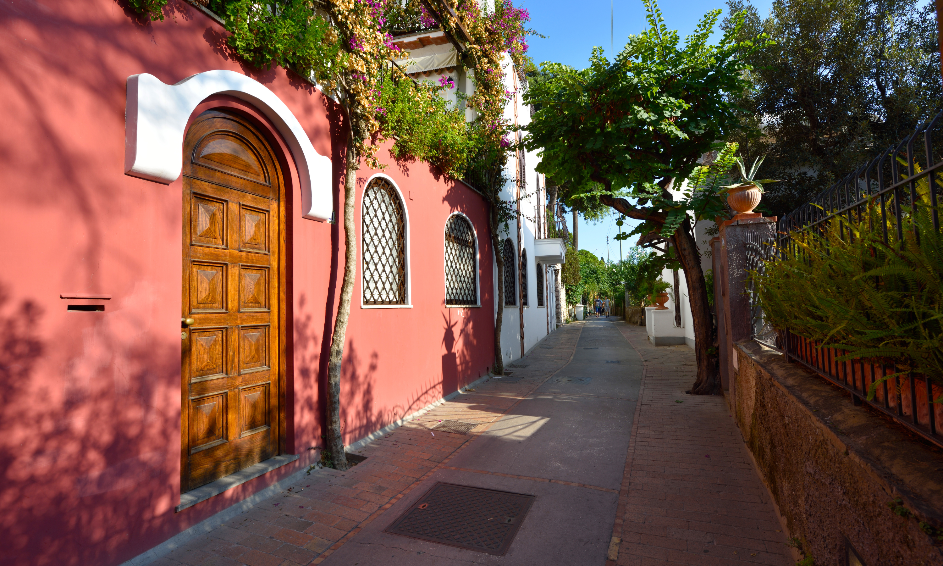 CAPRI