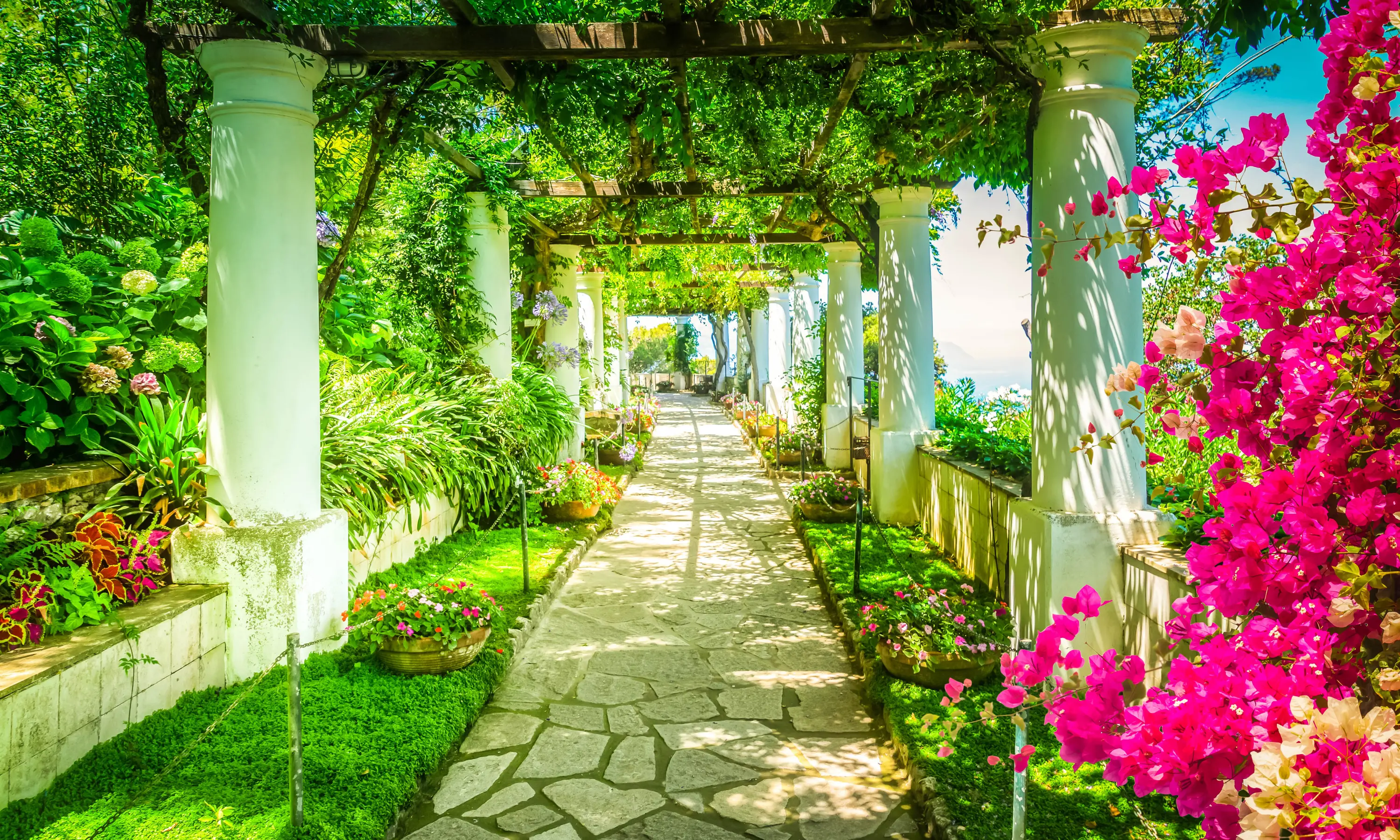 CAPRI