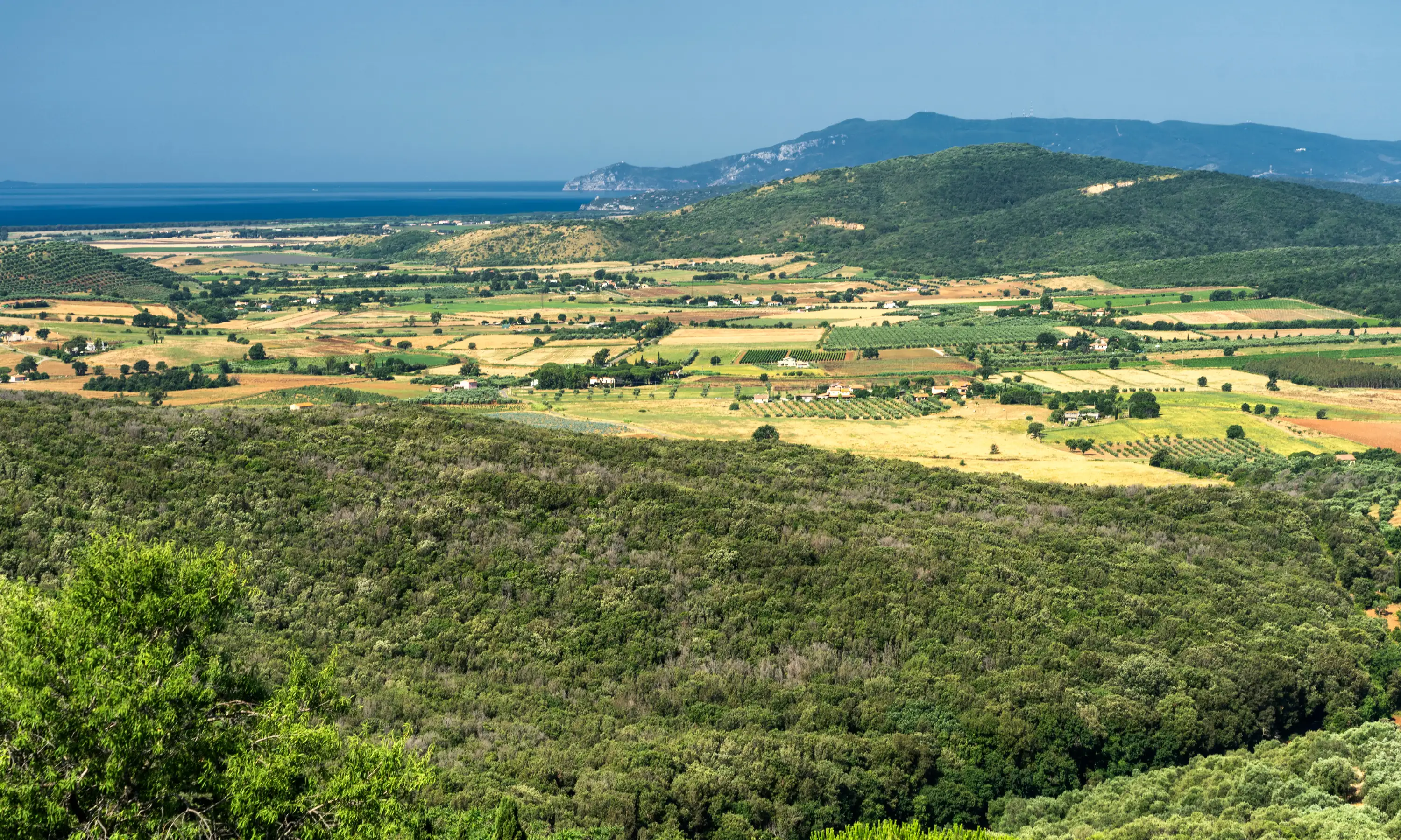 CONTRADDIZIONI