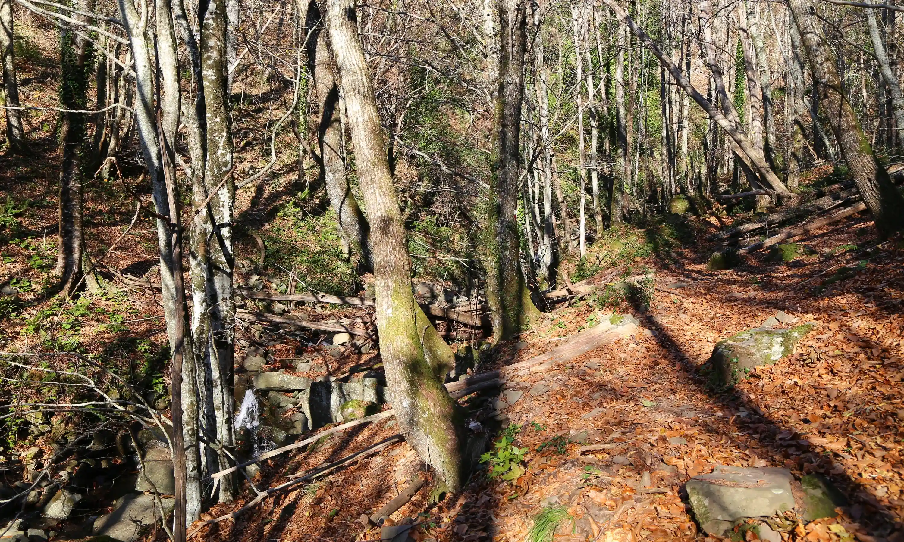 VIAGGI AUTUNNO